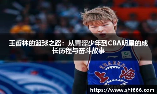 王哲林的篮球之路：从青涩少年到CBA明星的成长历程与奋斗故事